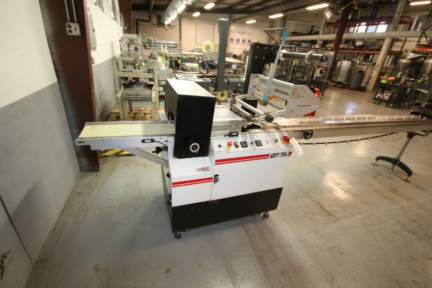 Fully Automated High Speed Horizontal Flow Wrapper Arty 75H